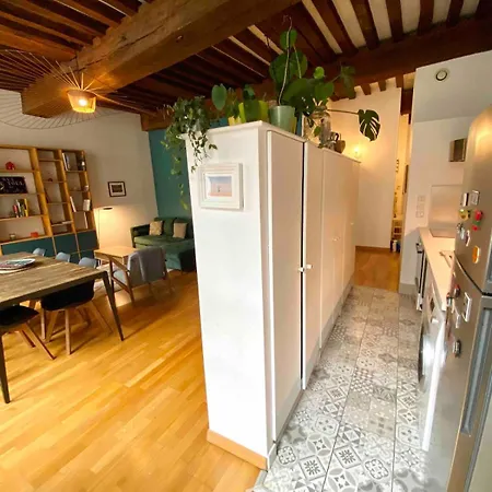 Apartment Le Verrerie With 2 Bedrooms, Historic Center Dijon