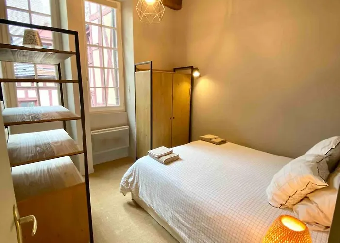 Le Verrerie With 2 Bedrooms, Historic Center * Dijon